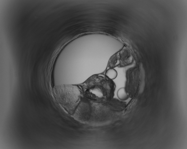 X0000095690145200801291224