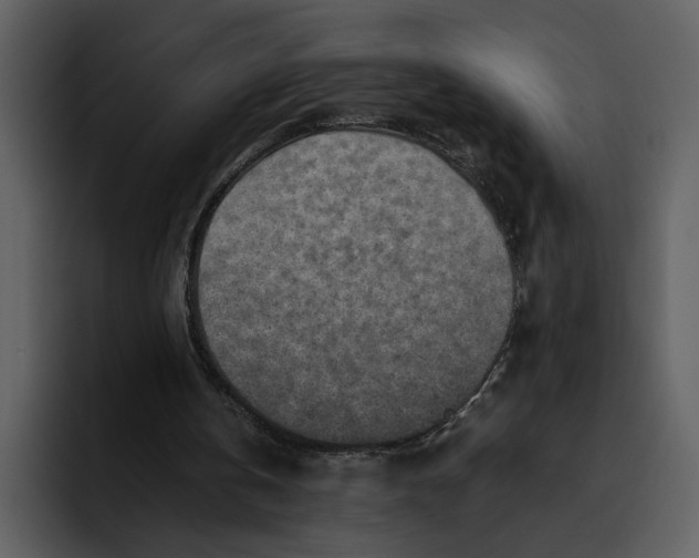 X0000095690146200801291224