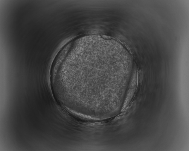 X0000095690147200801291224