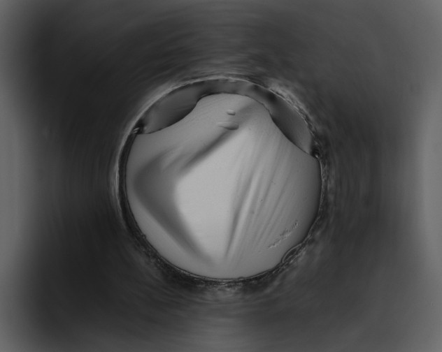 X0000095690148200801291224