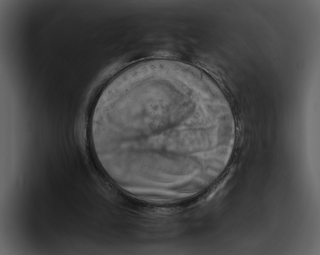 X0000095690149200801291224