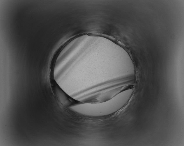 X0000095690150200801291224