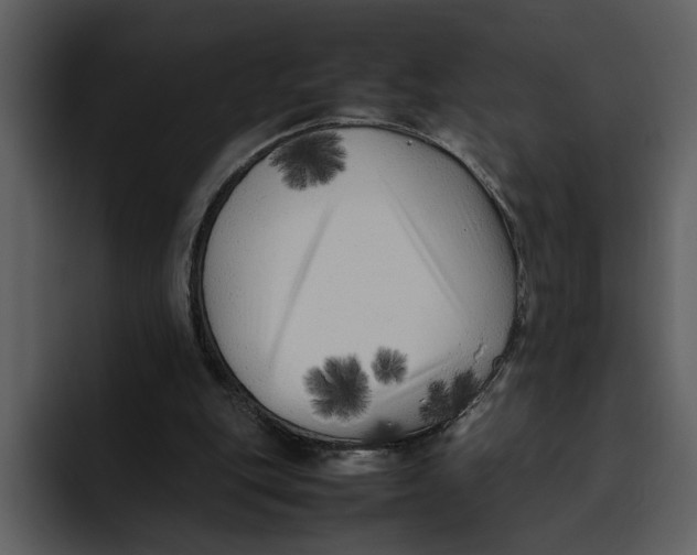 X0000095690151200801291224