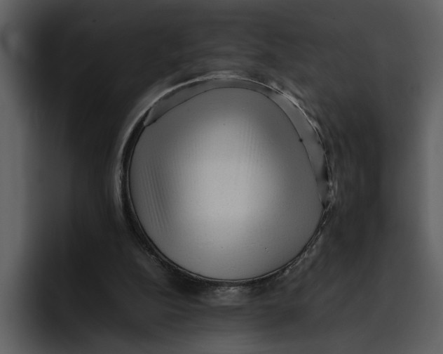 X0000095690152200801291224