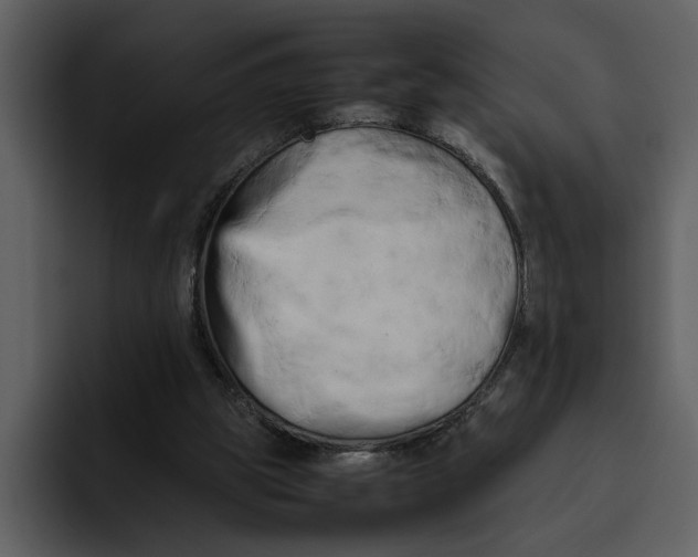 X0000095690153200801291224