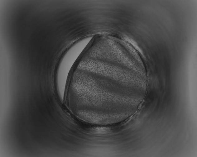 X0000095690154200801291224