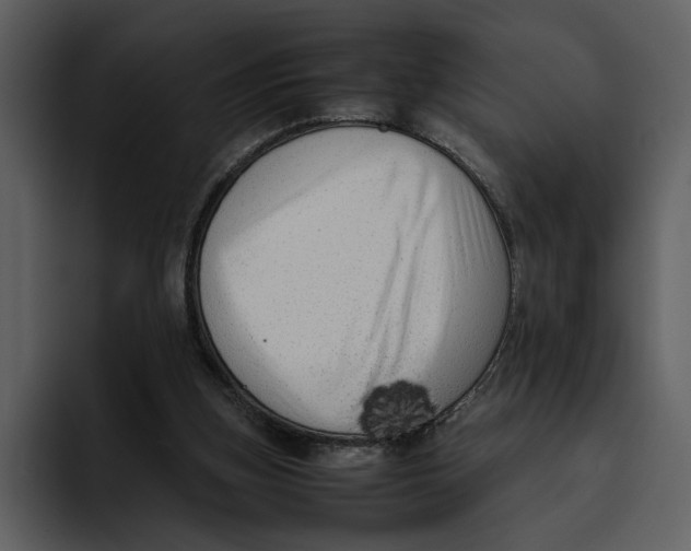 X0000095690155200801291224