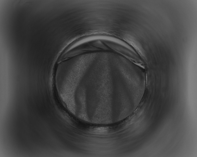 X0000095690156200801291224