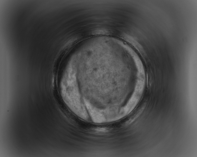 X0000095690157200801291224