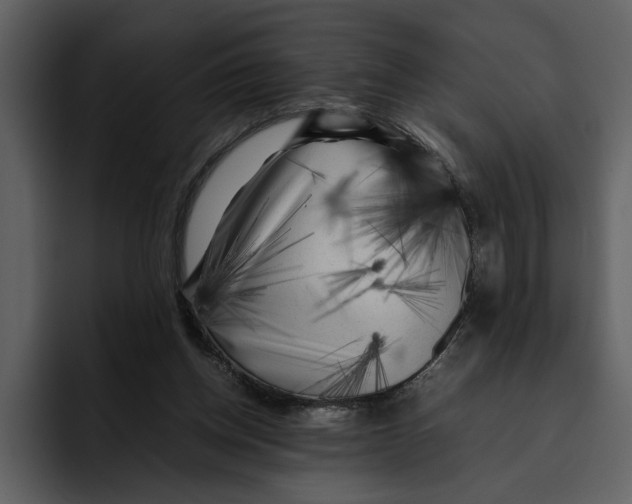 X0000095690158200801291224