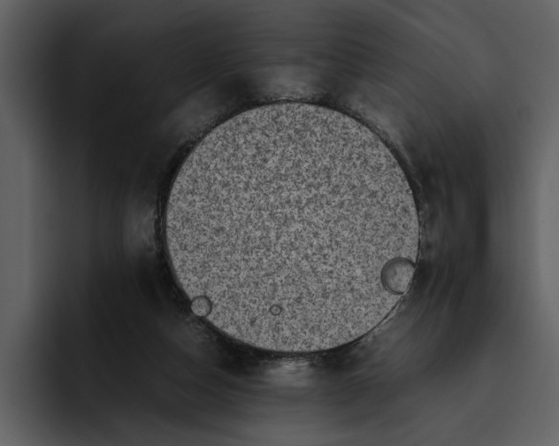 X0000095690162200801291224