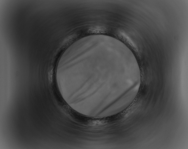 X0000095690163200801291224