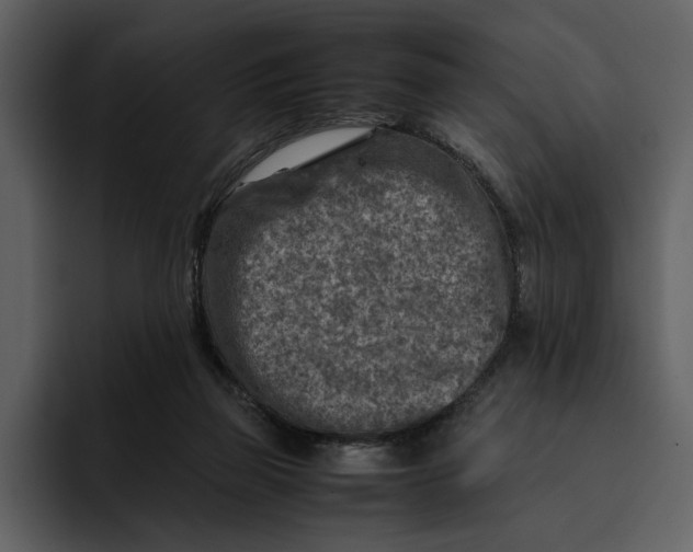 X0000095690165200801291224