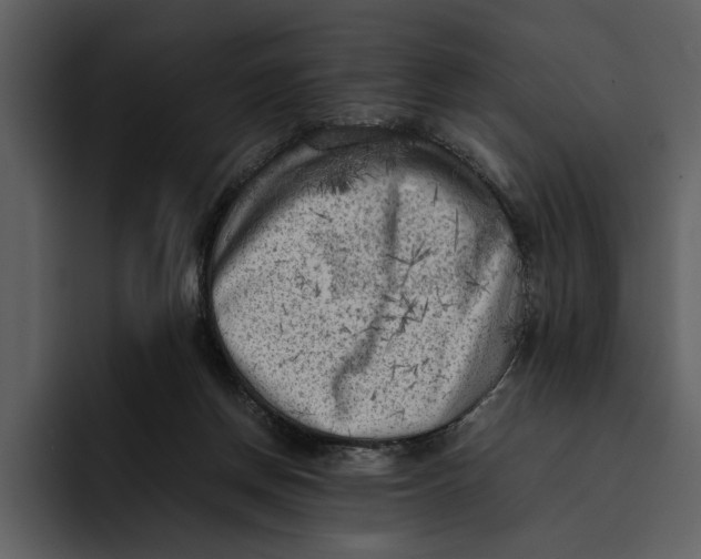 X0000095690166200801291224