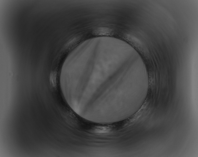 X0000095690167200801291224