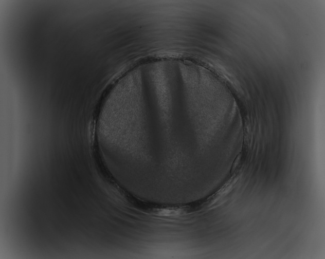 X0000095690168200801291224