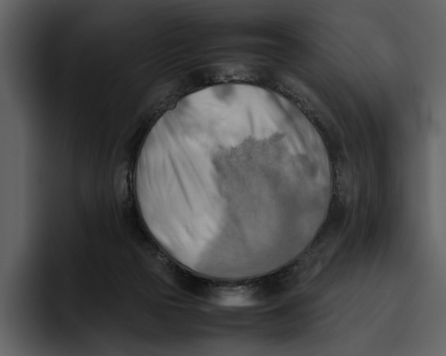 X0000095690169200801291224