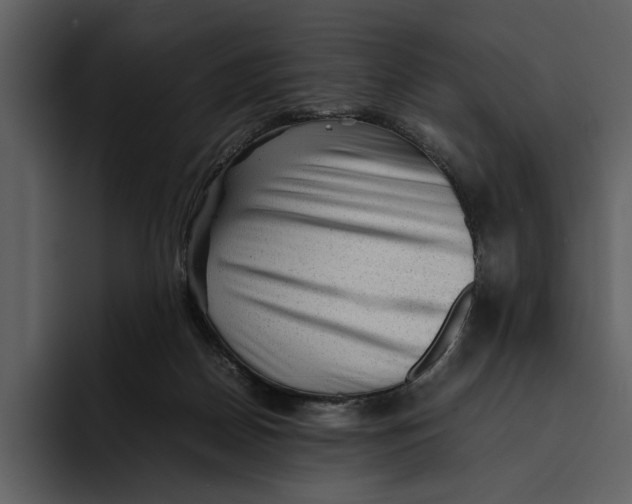 X0000095690170200801291224