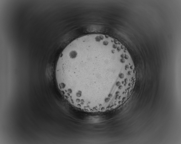 X0000095690171200801291224