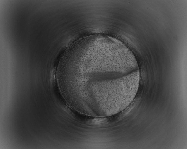 X0000095690172200801291224