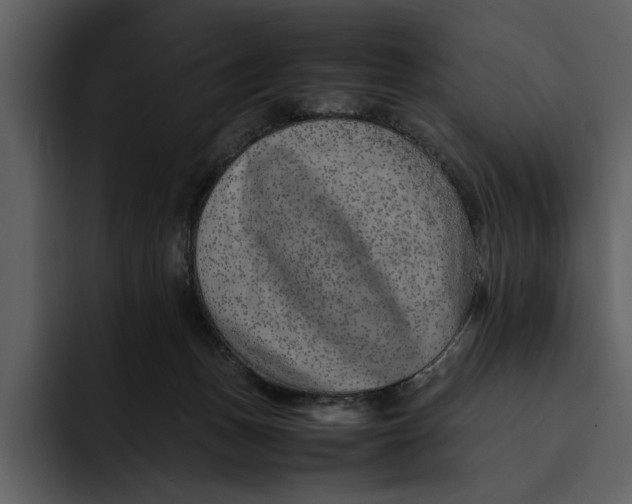 X0000095690175200801291224