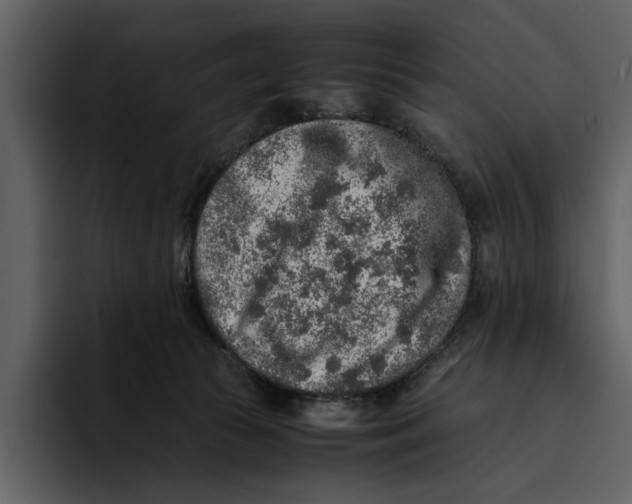 X0000095690177200801291224