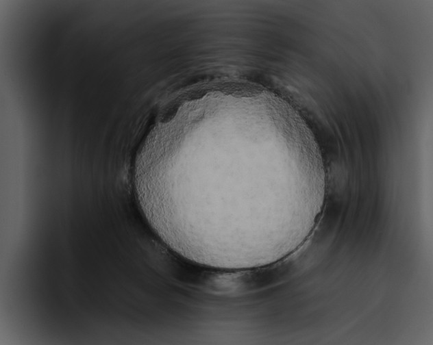 X0000095690178200801291224