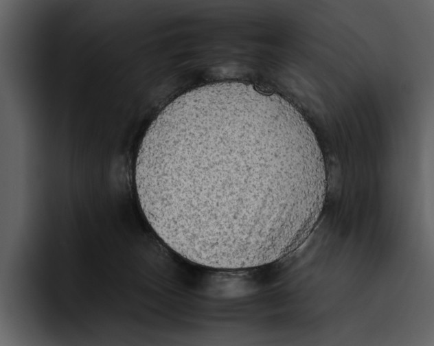 X0000095690179200801291224