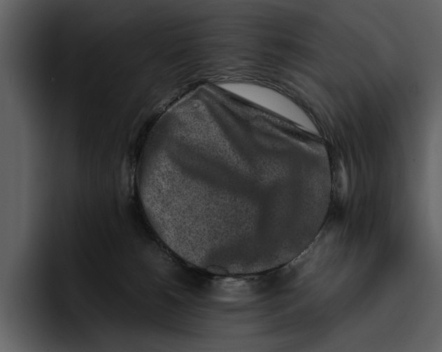 X0000095690180200801291224