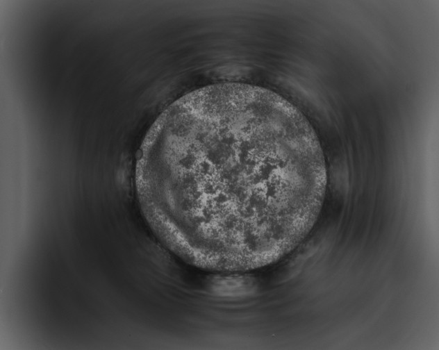 X0000095690181200801291224