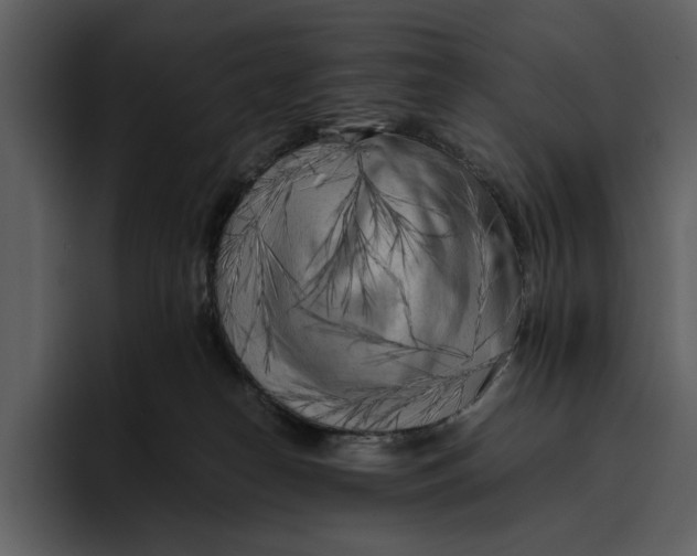 X0000095690182200801291224