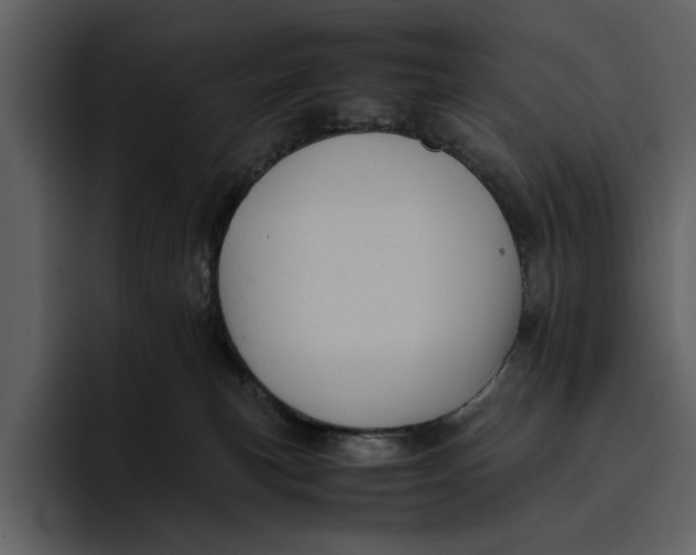 X0000095690183200801291224