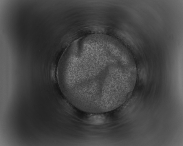 X0000095690185200801291224