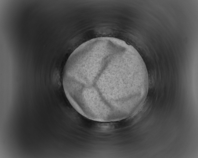 X0000095690187200801291224