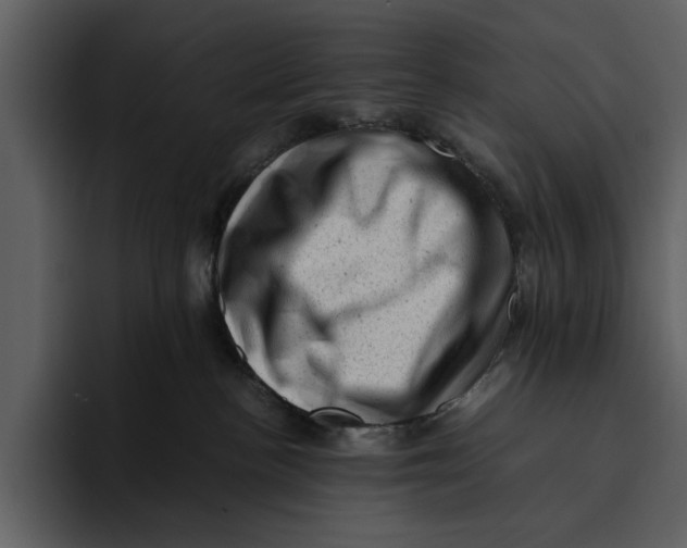 X0000095690188200801291224