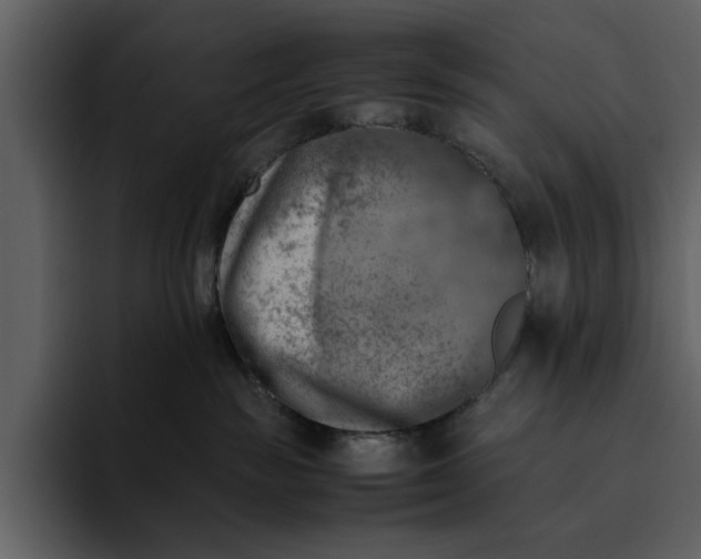 X0000095690189200801291224