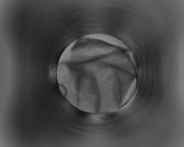 X0000095690190200801291224