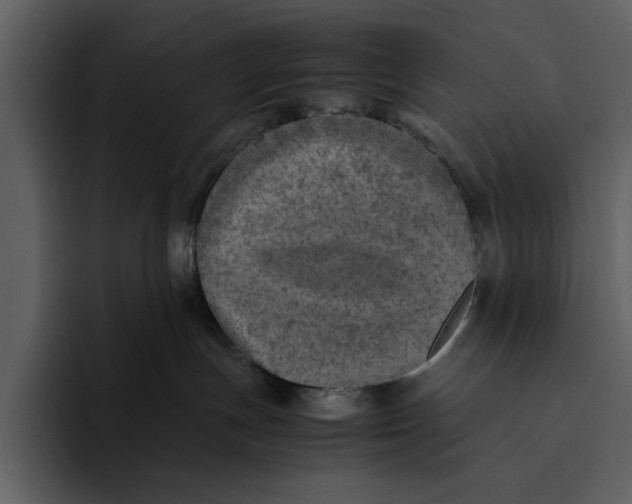 X0000095690191200801291224