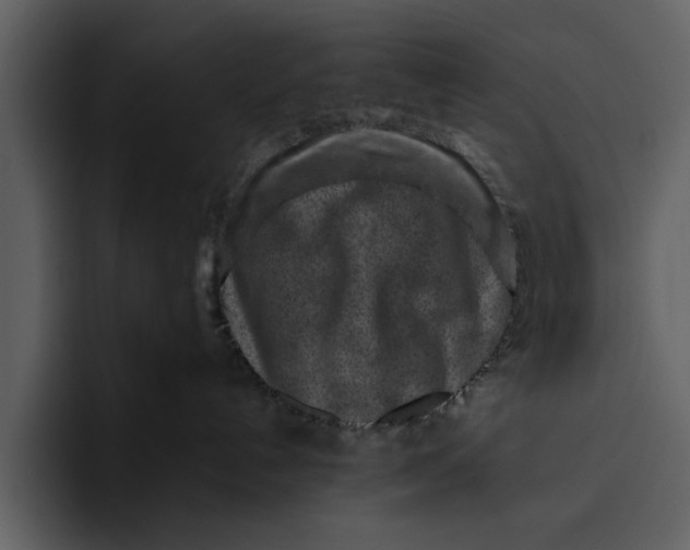 X0000095690192200801291224