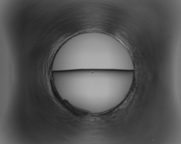 X0000095690193200801291224