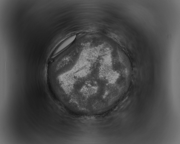 X0000095690194200801291224