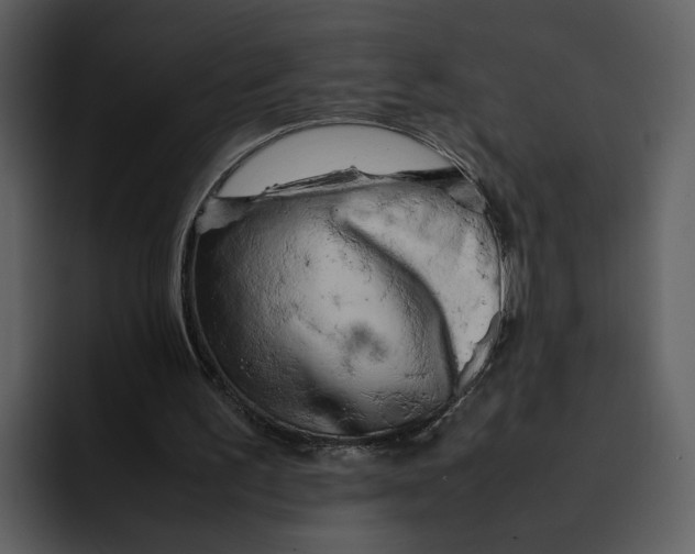 X0000095690195200801291224