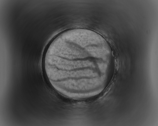 X0000095690196200801291224