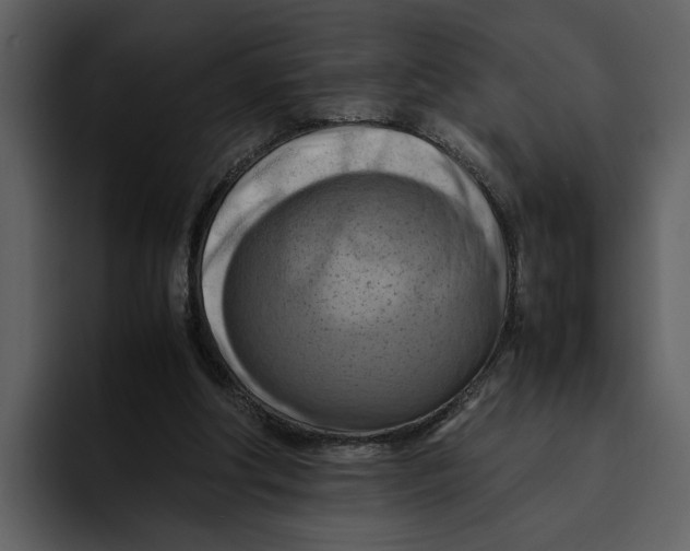 X0000095690202200801291224