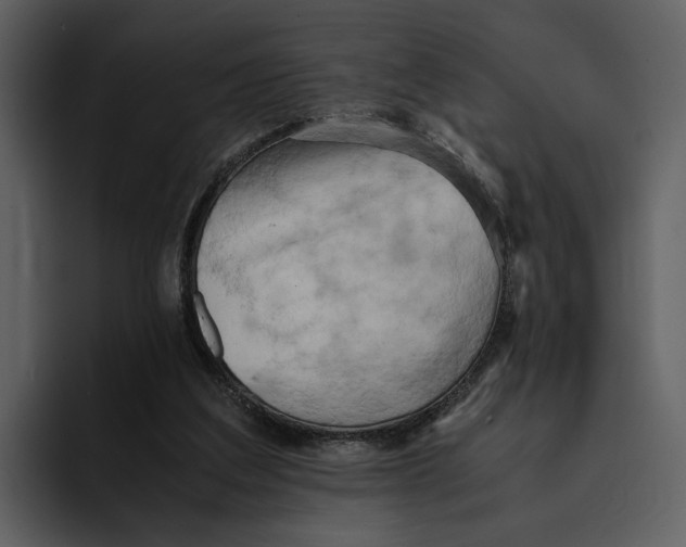 X0000095690203200801291224