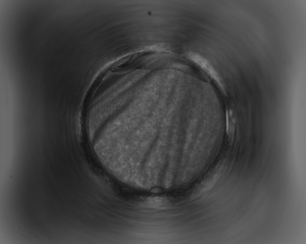 X0000095690204200801291224