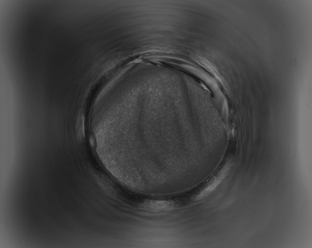 X0000095690205200801291224