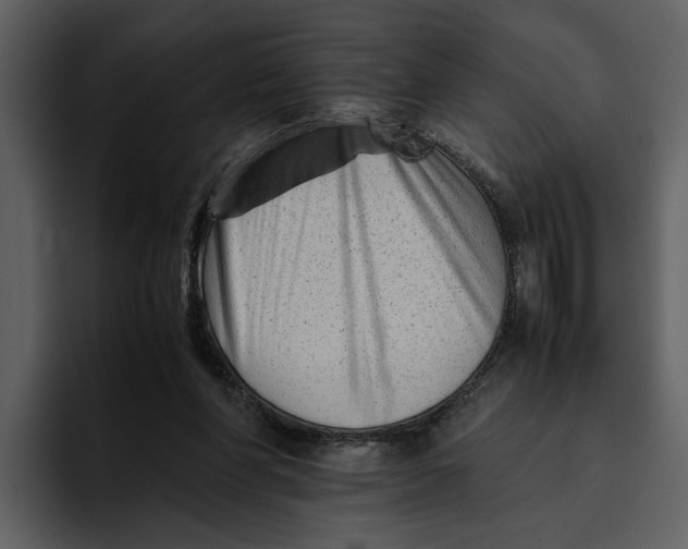 X0000095690206200801291224