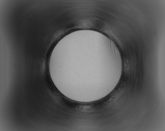 X0000095690208200801291224