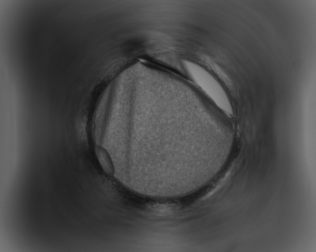 X0000095690209200801291224